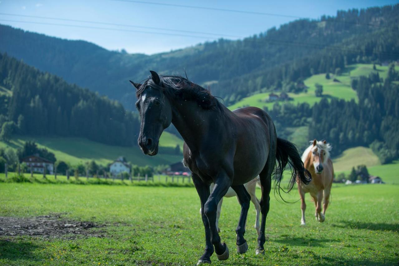 Ranstl Ferienwohnungen Flachau Buitenkant foto